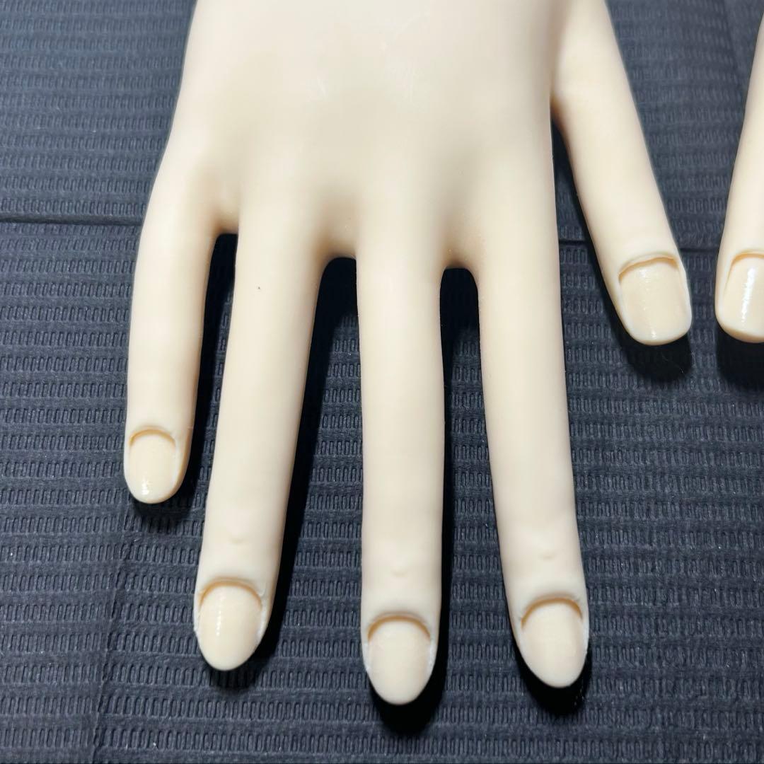 【骨折なし・箱付き】JNEC認定モデルハンド　キューティクルシール　チップ