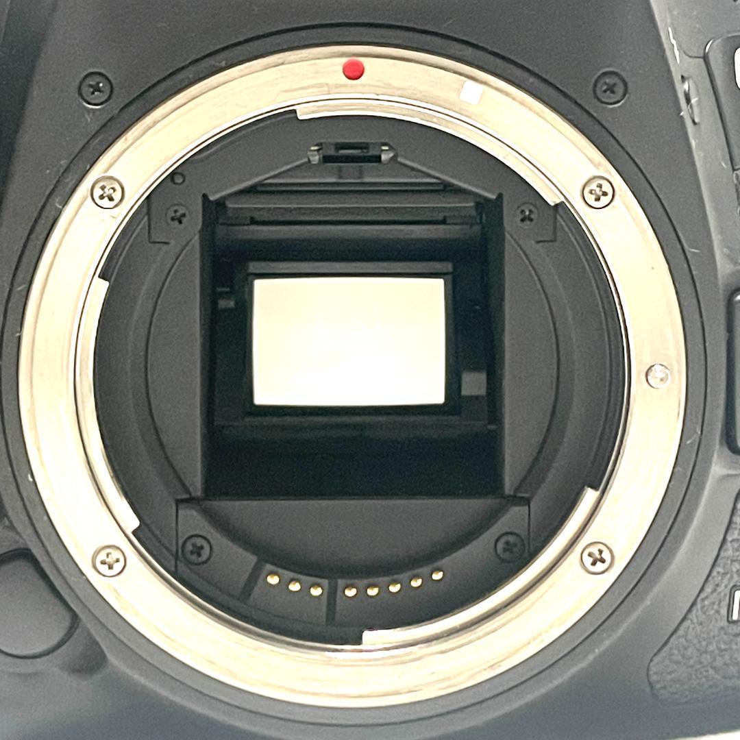 高速連写❣️ Canon EOS 7D Mark II 超望遠 USMレンズ