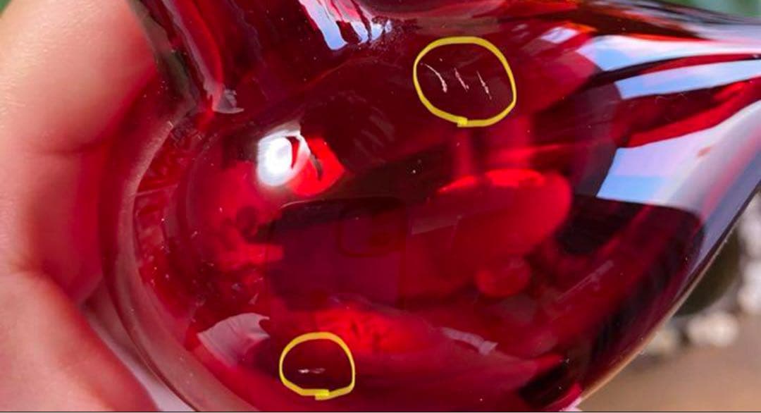 【イッタラ】　バード　コアジサシ※傷あり