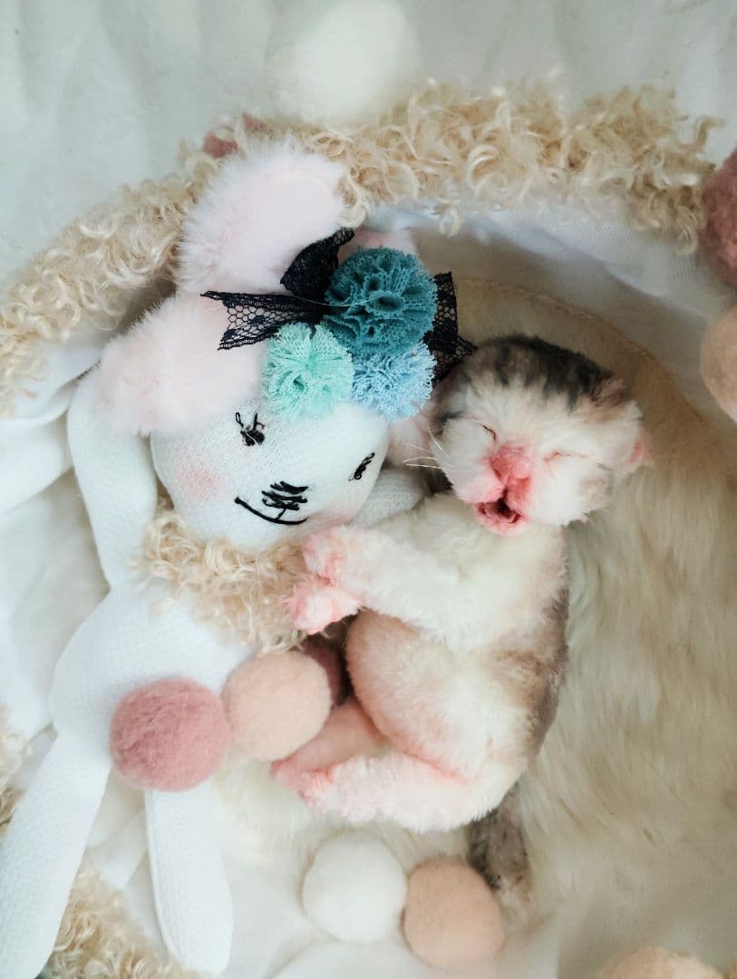 お世話してね❤生後１日子猫ちゃん♡バスケットとクマたん♡アートドール♡ぬいぐるみ