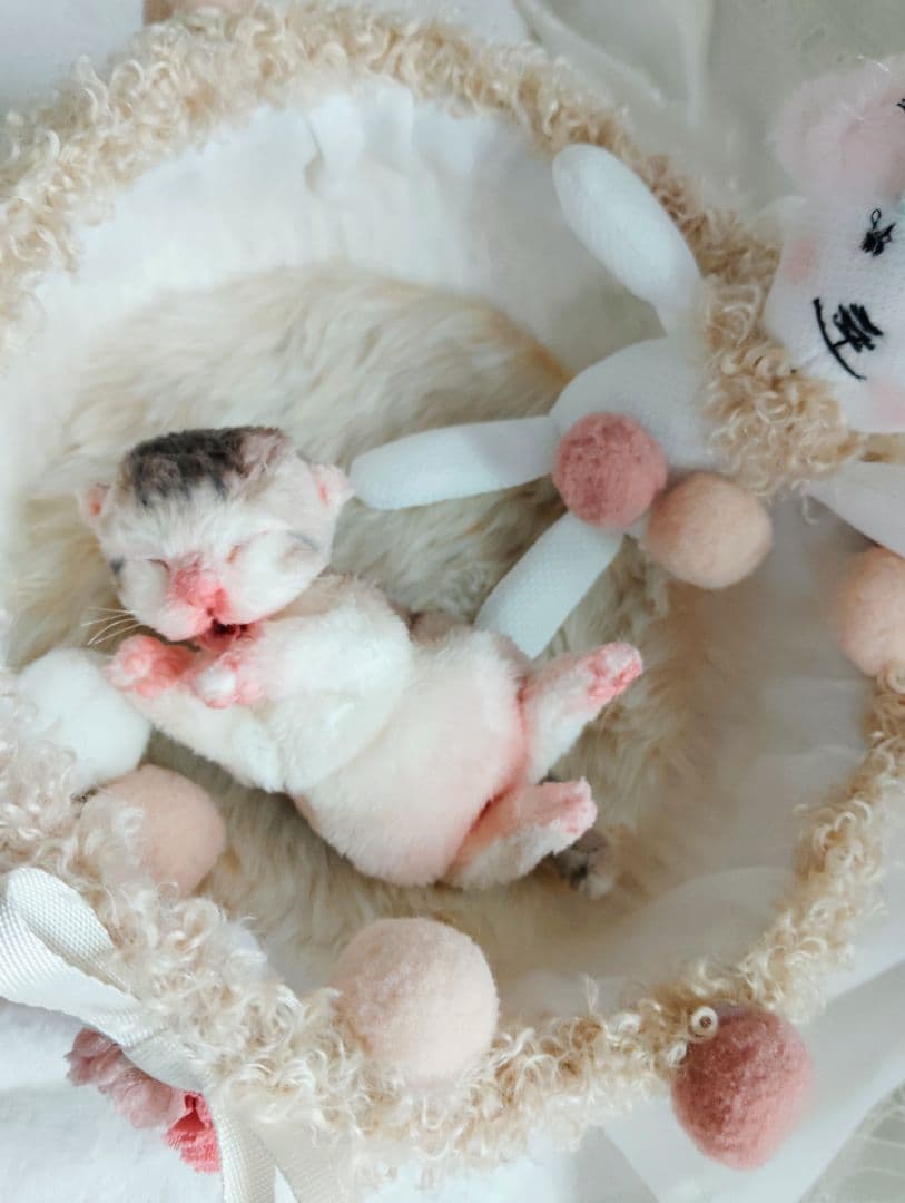 お世話してね❤生後１日子猫ちゃん♡バスケットとクマたん♡アートドール♡ぬいぐるみ