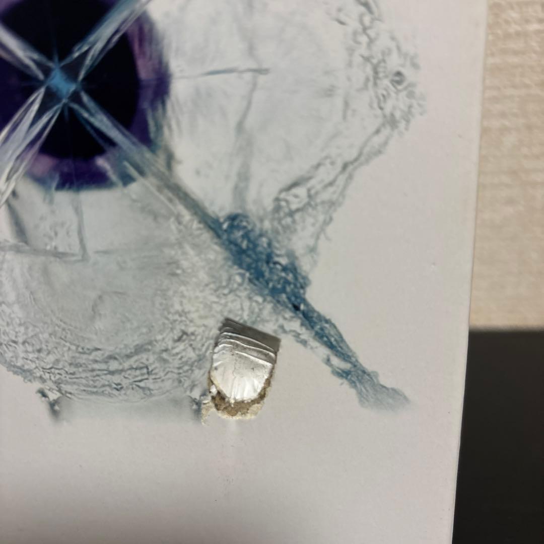 フィリップス ソニッケアー パワーフロッサー 3000 HX3711/22 新品