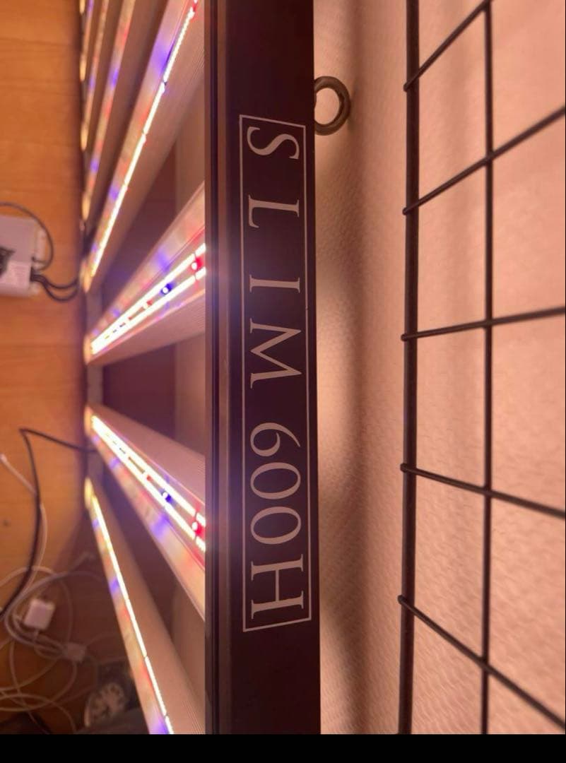 オプティック　optic slim 600h 2台セット 単体売りも