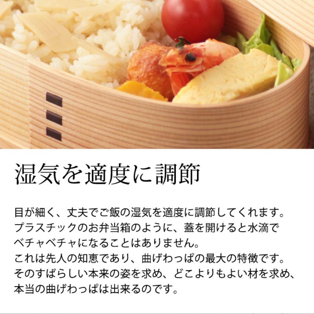 【SALE】みよし漆器本舗 大館工芸社製　曲げわっぱ 2430 小判弁当(大)
