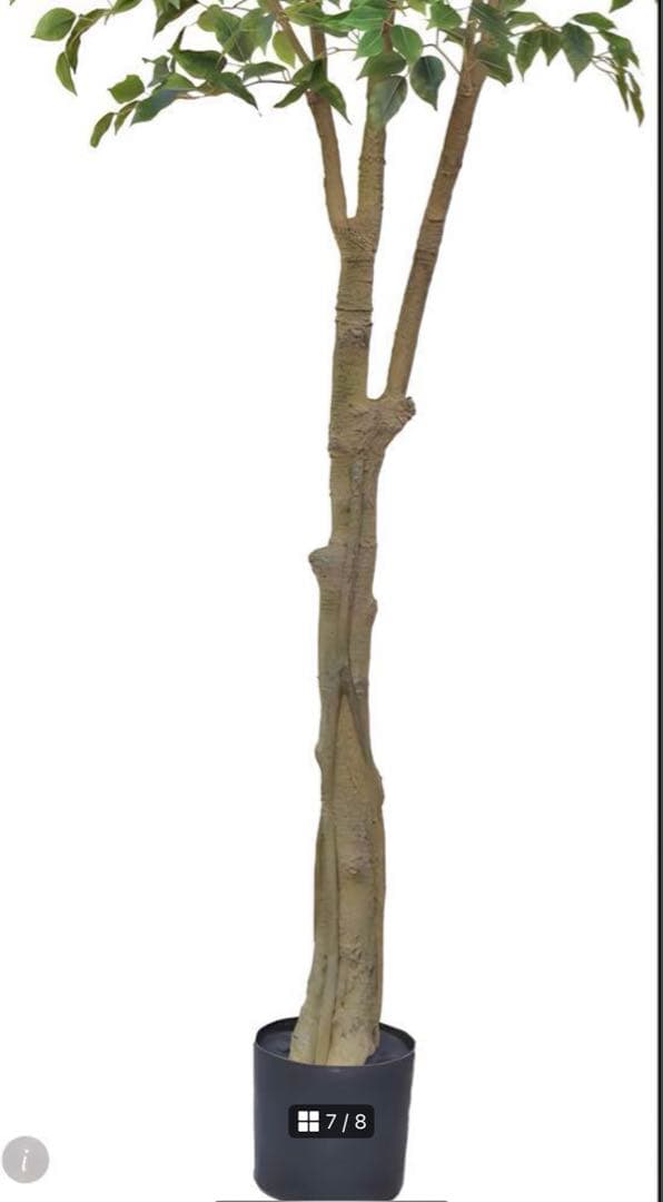 光触媒　人工観葉植物　ウォールグリーン　フェイクグリーン　ベンジャミン240