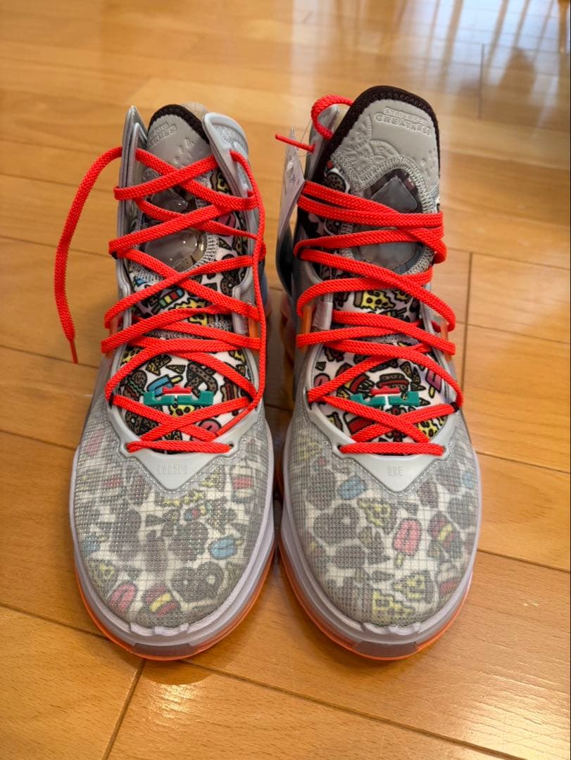 値下げ相談可‼️新品 29.0cm ナイキ レブロン 19 グレーフォグ