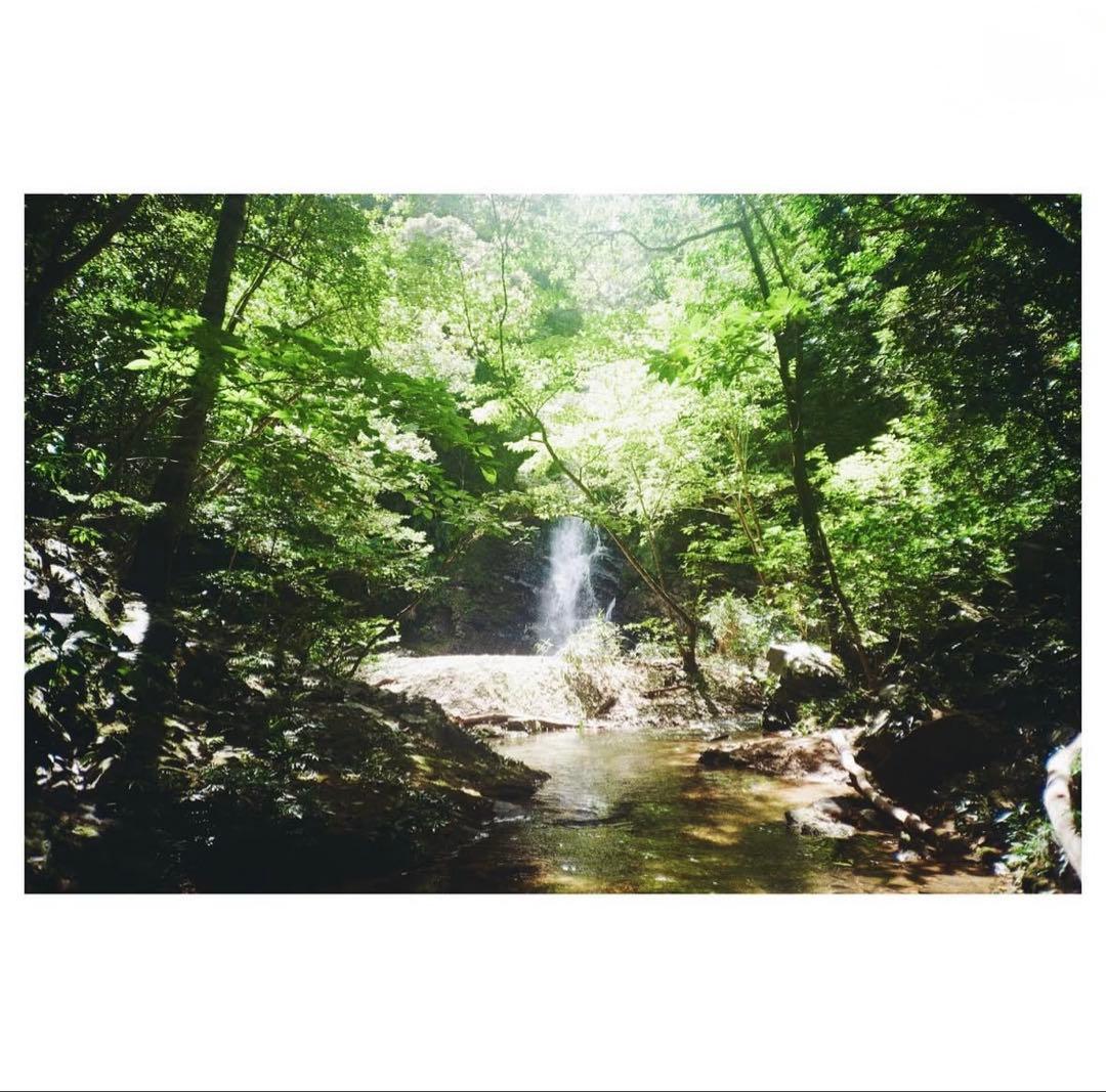 動作確認・作例あり Canon Autoboy D5 コンパクトフィルムカメラ