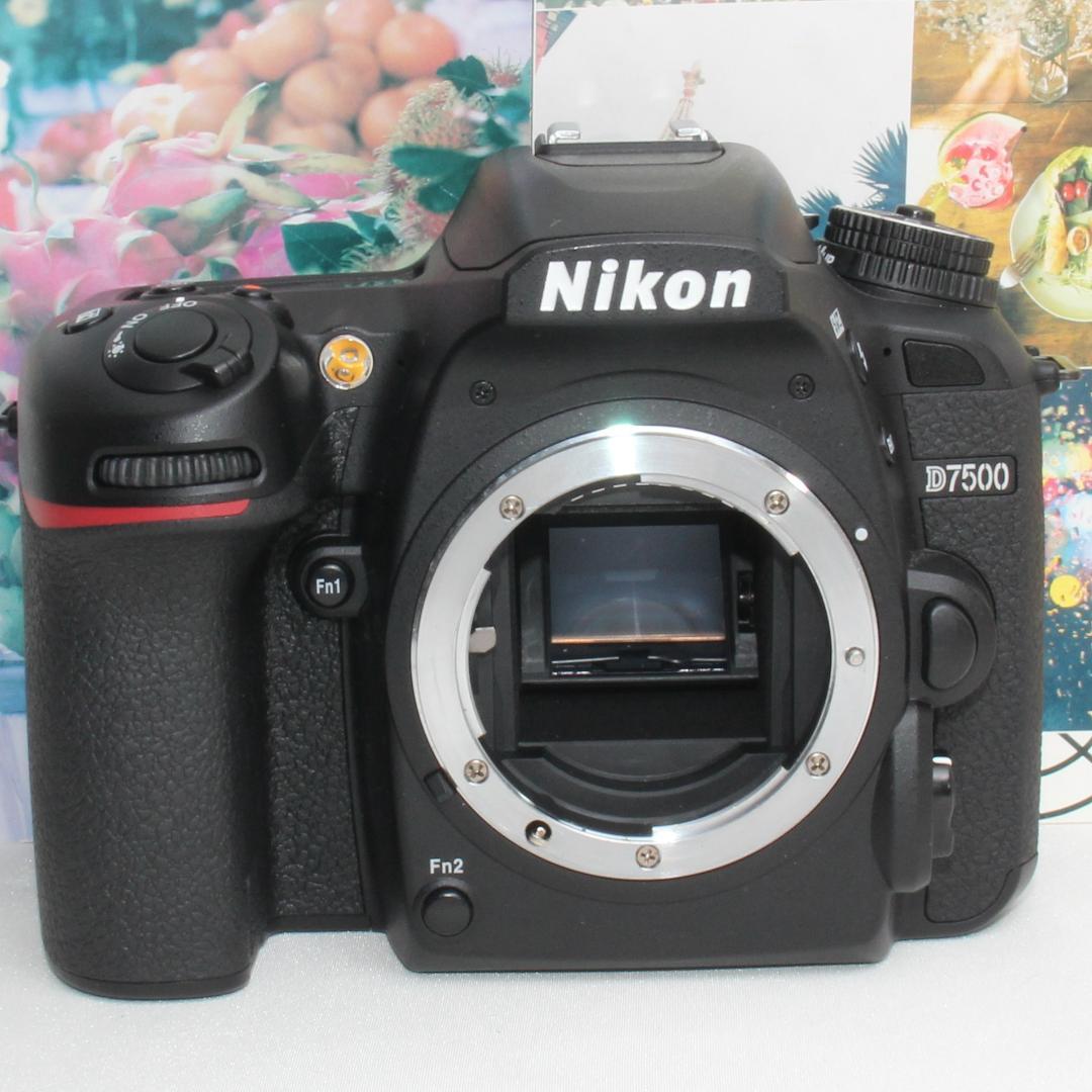 ❤️予備バッテリー&カメラバッグ付き❤️ニコン D7500 トリプルレンズ❤️