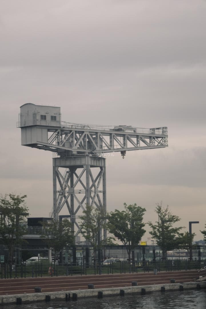 お買得品！希少黒！Leica Hektor 135mm F4.5 オールドレンズ