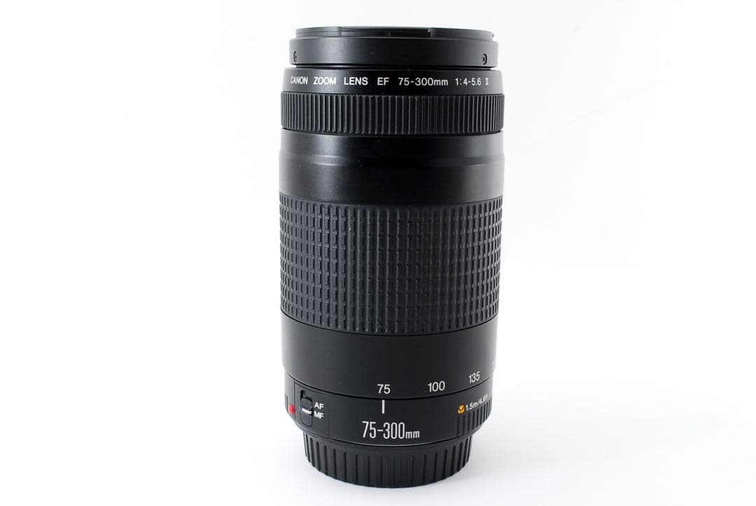 キャノン☆付属品付☆超望遠レンズ Canon EF75-300㎜　II☆