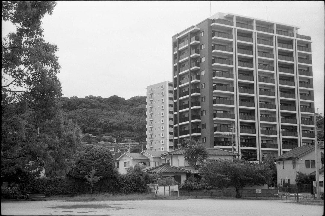 コンタックスⅢa ブラックダイヤル　露出計正常　動作確認・試写済み