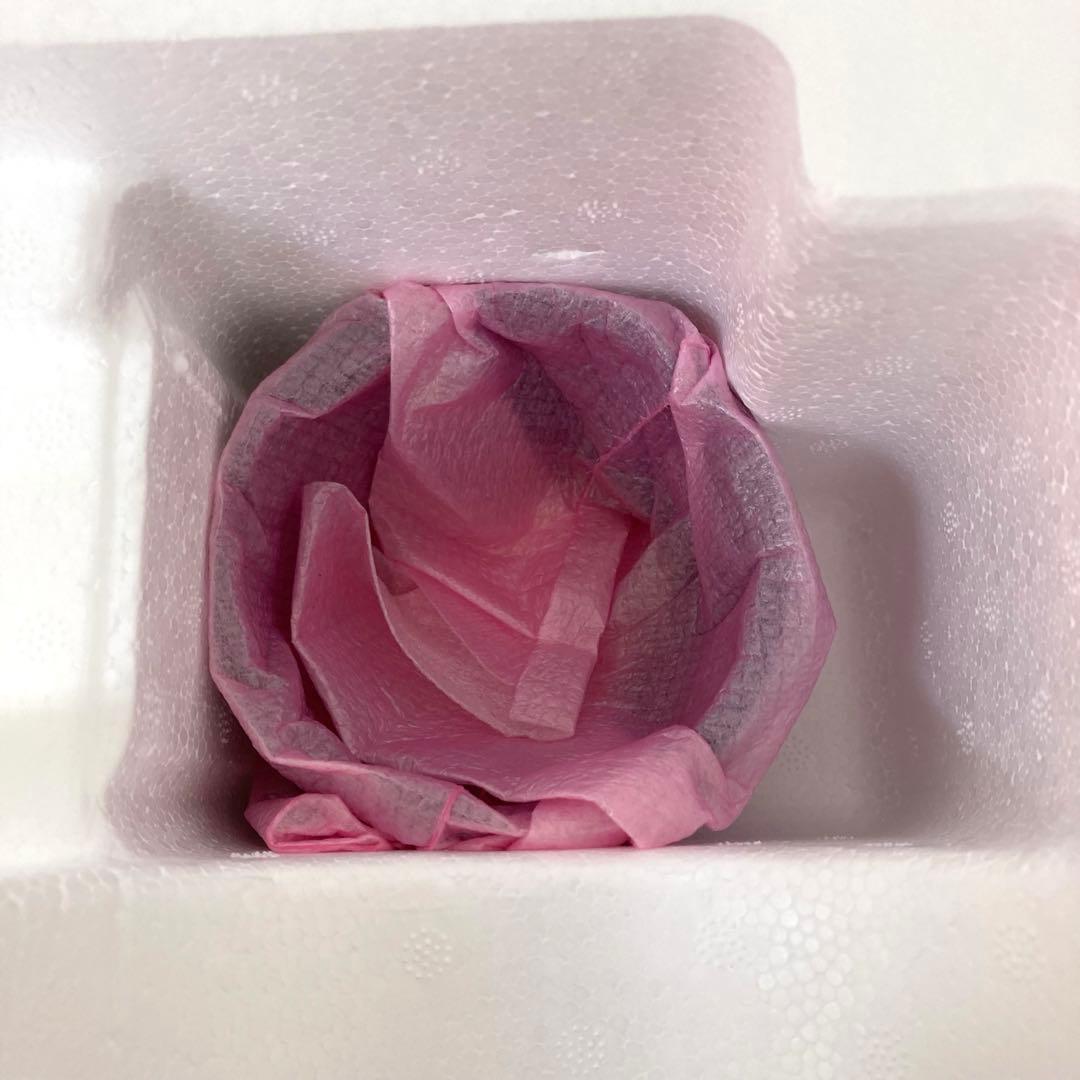 404-V SHARP ヘルシオ グリーンプレッソ EJ-GP1 レッド