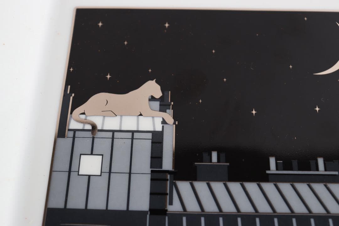 Cartier カルティエ スクエア パンテール プレート 豹