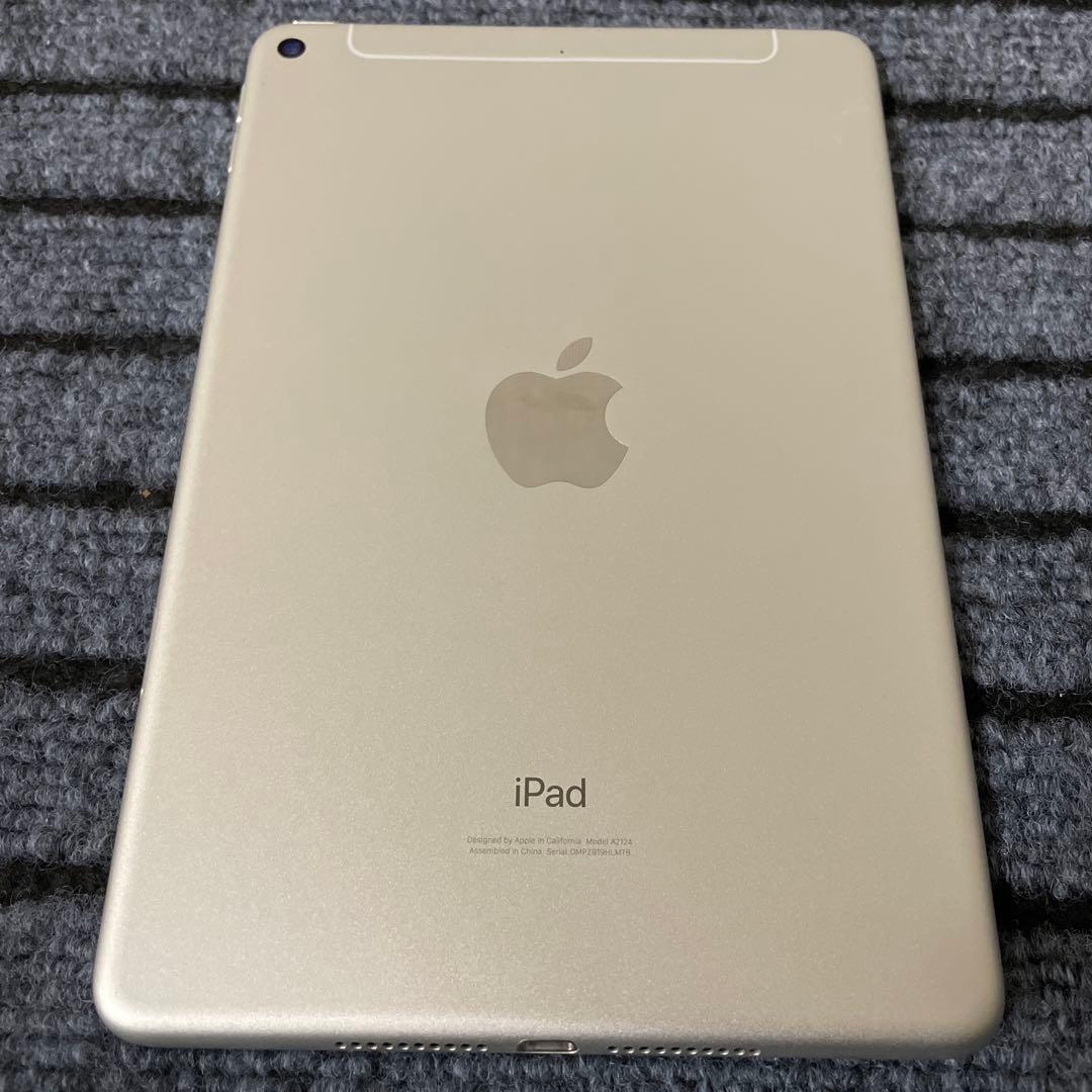 176【早い者勝ち】 iPad mini5 5世代 64GB シルバー