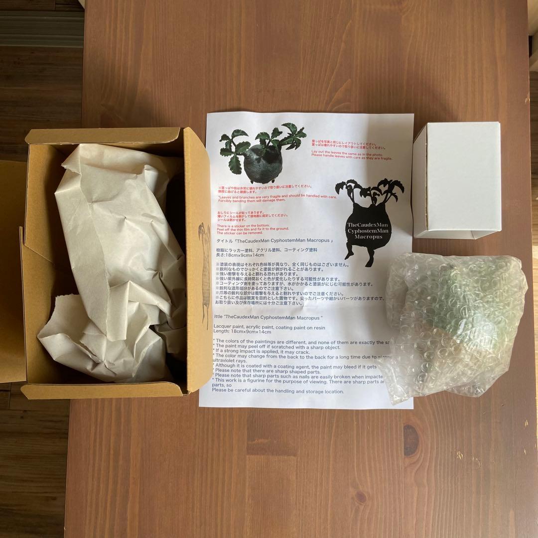 【 ozwrt 】 TheCaudexMan CyphostemMan