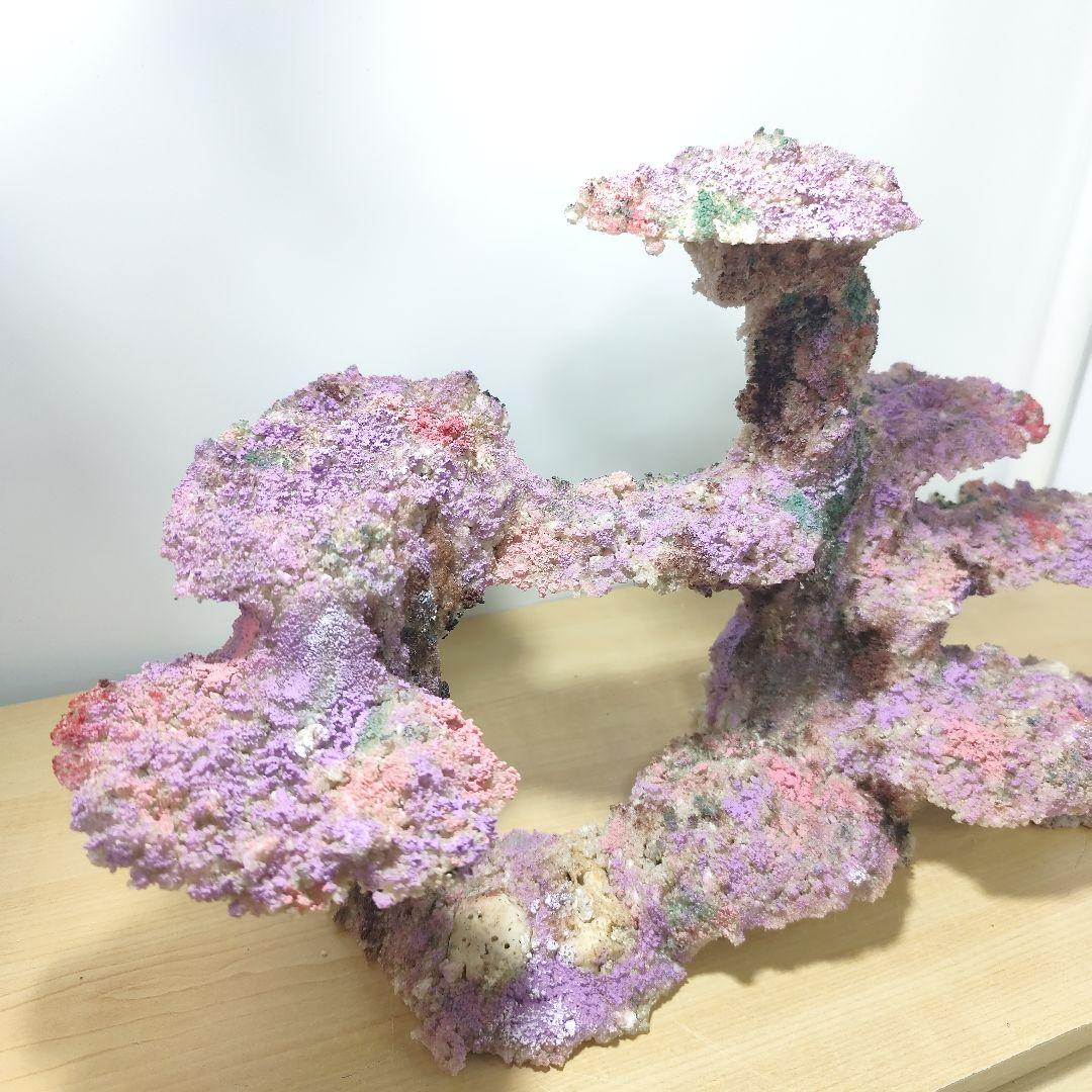 ❖新品アク抜き不要 人工ライブロック 60cm海水水槽用 レプリカ 多孔質安い1