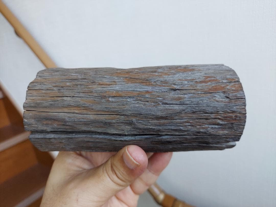 阿武隈川産 埋もれ木（大）　新古今和歌集に詠まれた本物の伝承品