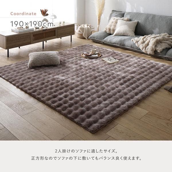 ふわもこ ラグ 約190×190cm グレー 洗える 抗菌 消臭 ペット臭