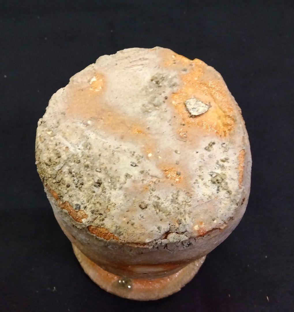 茶道具 花入 信楽焼 寺垣外窯 杉本貞光 大徳寺 立花大亀 箱書 銘 杉こだち