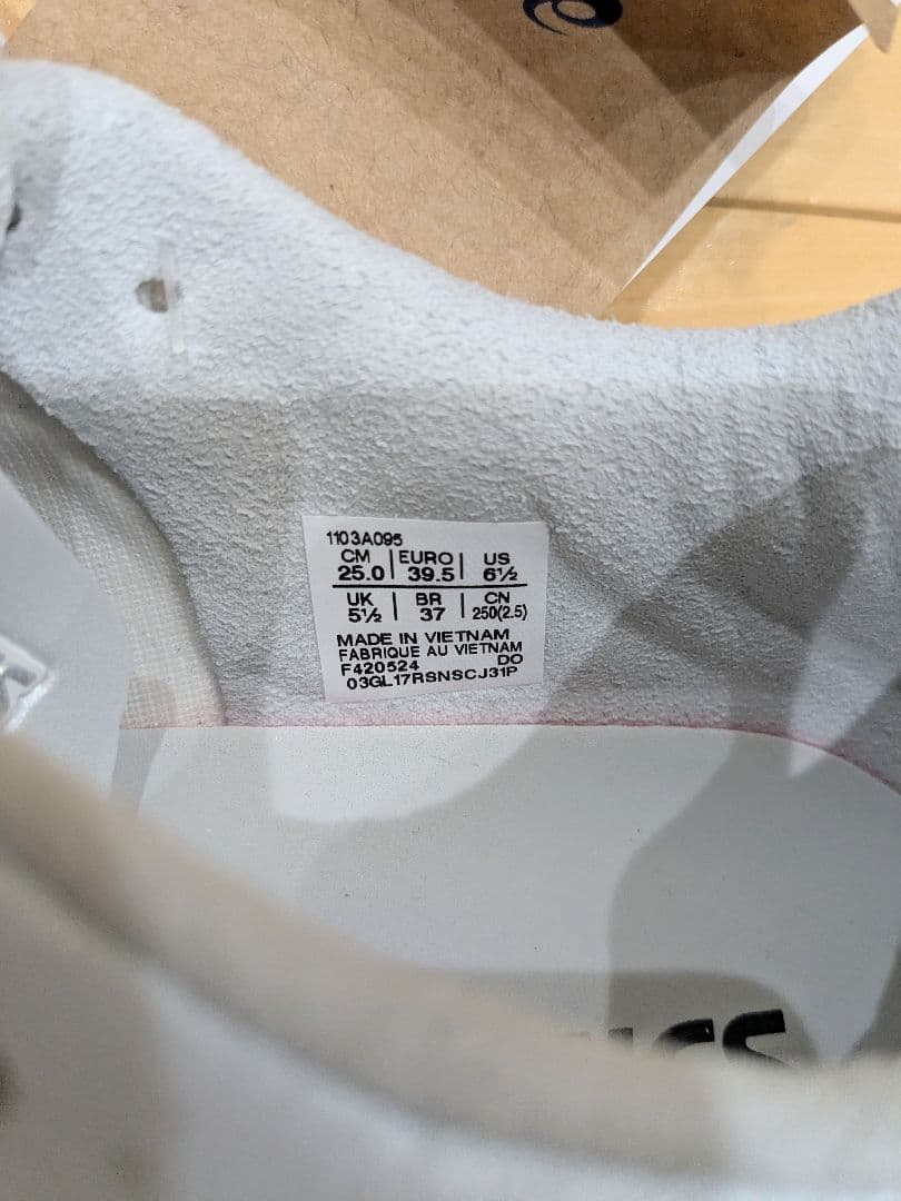 ASICS DS LIGHT PRO スタンダード 25.0cm 新品未使用