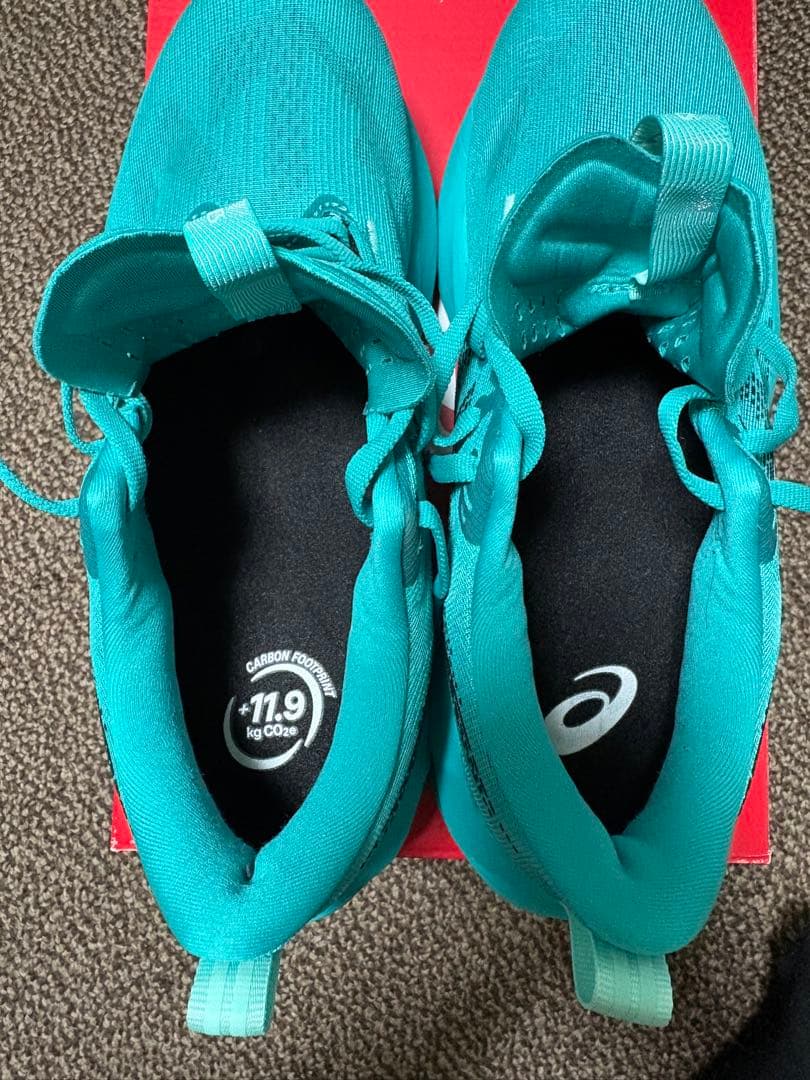 アシックス NOVA BLAST5 ノヴァブラスト5 26.0