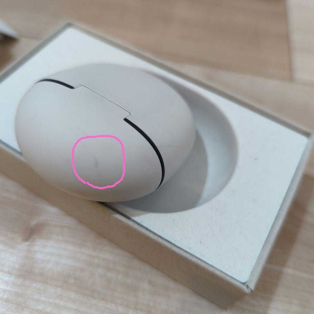 Google Pixel Buds Pro 2　Winter Green