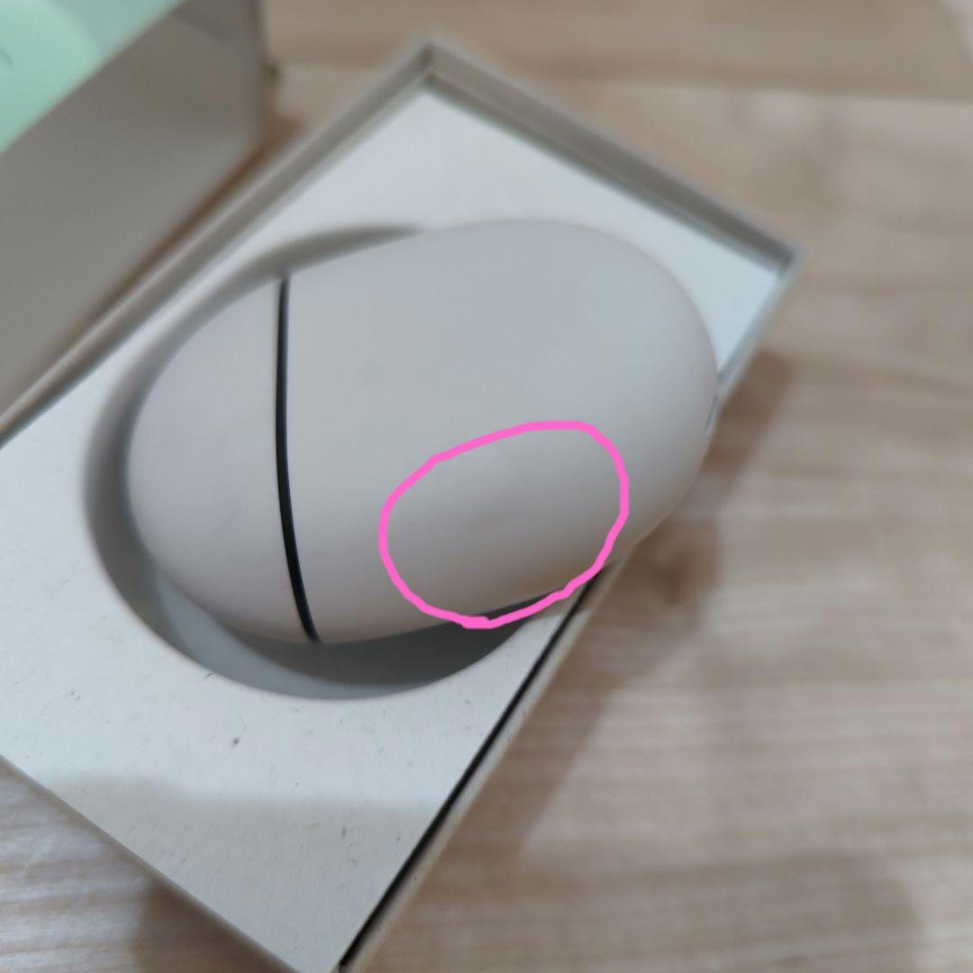 Google Pixel Buds Pro 2　Winter Green