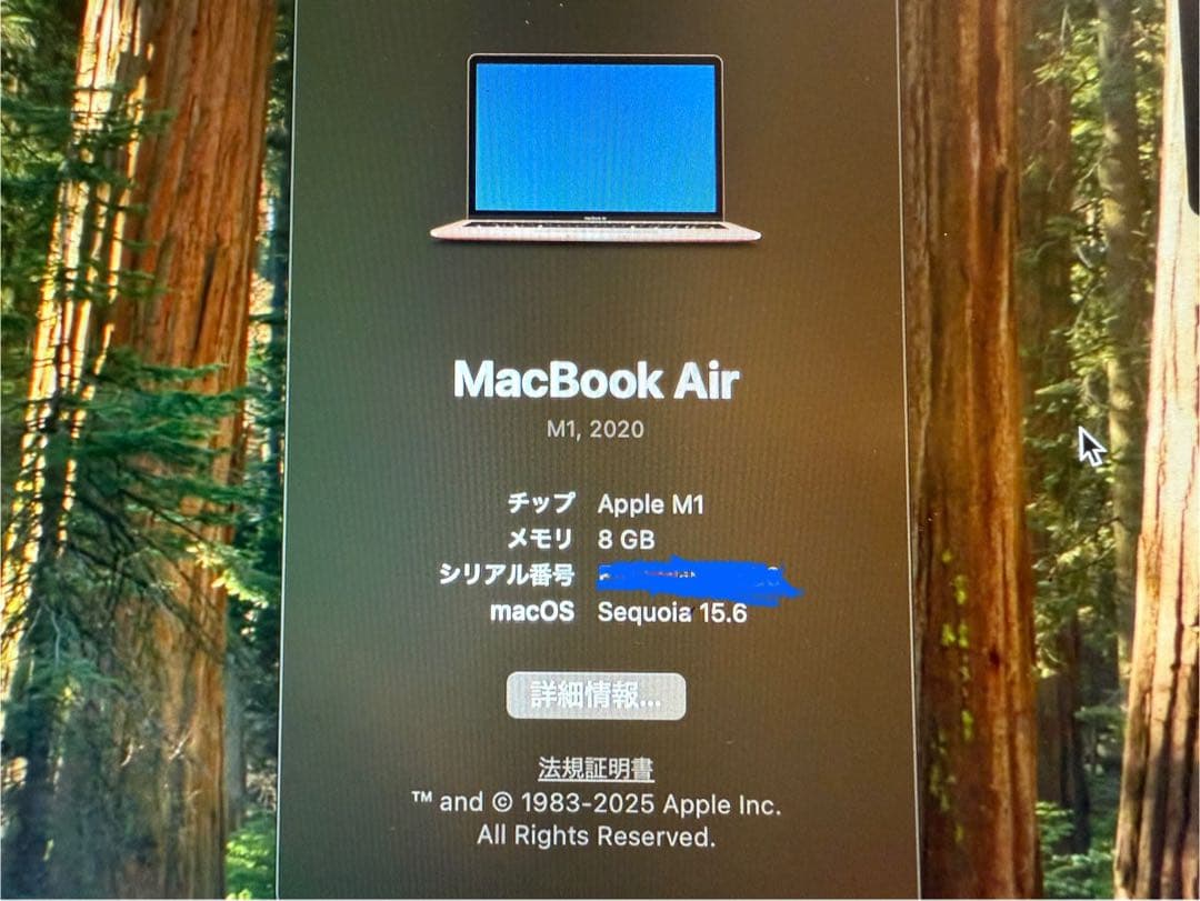 【￼美品】MacBook Air M1 ゴールド SSD256GB メモリ8GB