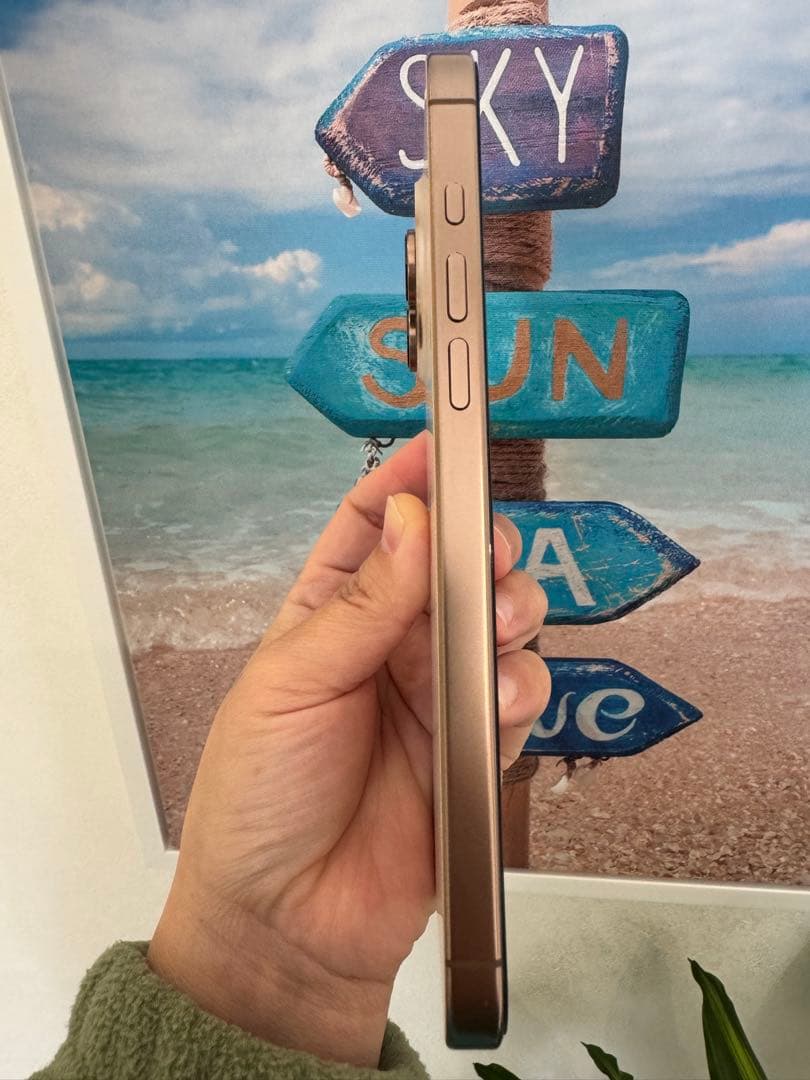 iPhone 16 Pro Max 256GB USA版