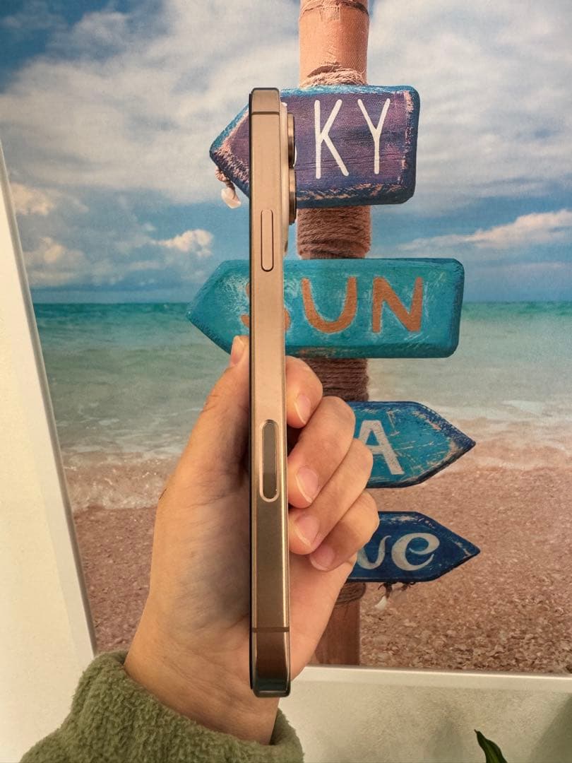 iPhone 16 Pro Max 256GB USA版