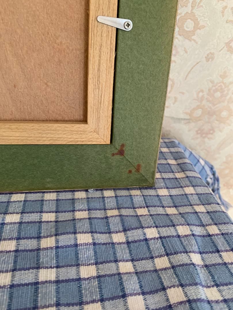 モルフォ蝶 羽絵 アート アンティーク インテリア 額装 羽細工 蝶標本 壁掛け