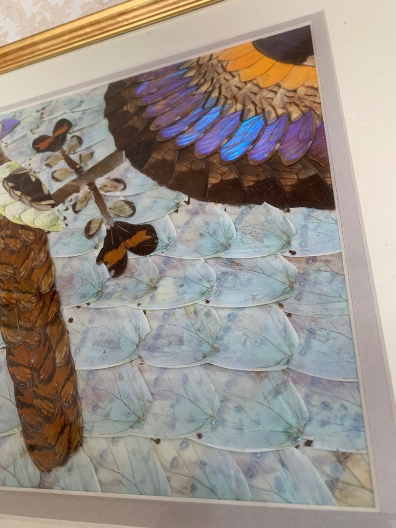 モルフォ蝶 羽絵 アート アンティーク インテリア 額装 羽細工 蝶標本 壁掛け