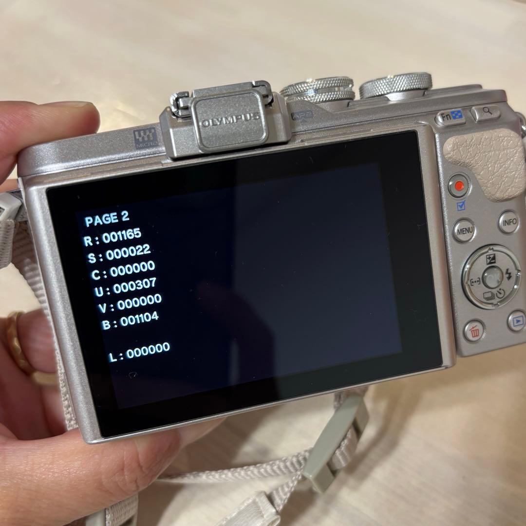 OLYMPUS PEN E-PL8 ミラーレス　本体と付属品