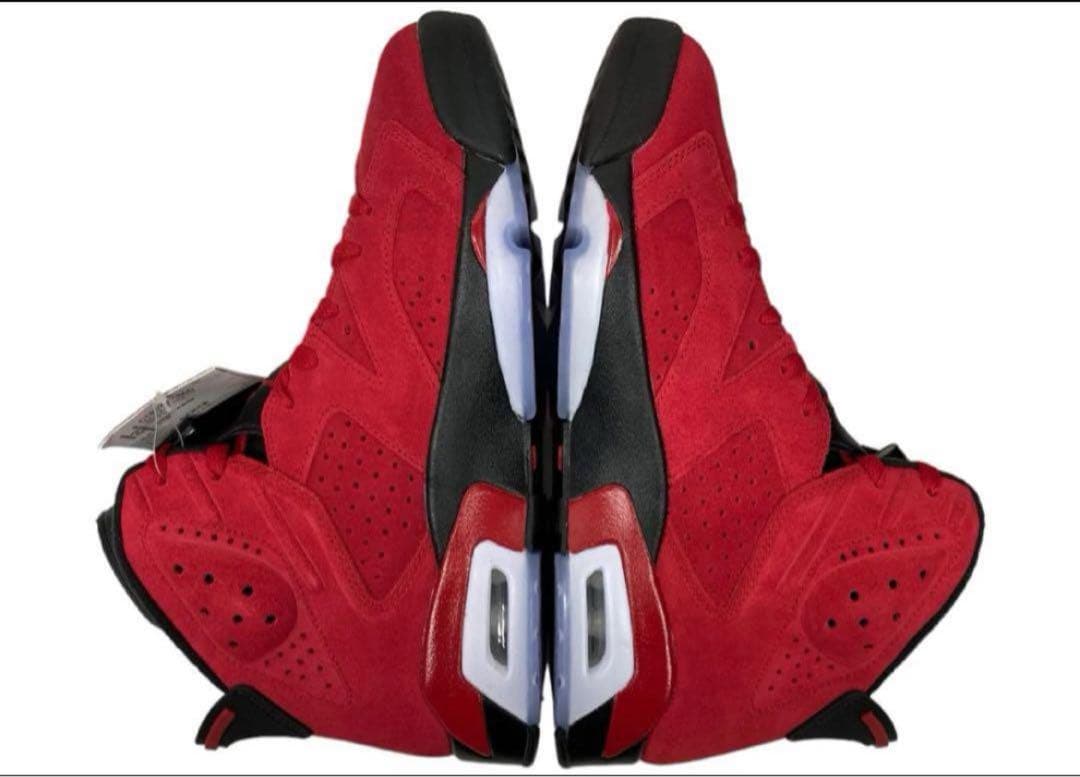 新品　NIKE ナイキ　AIR JORDAN 6 RETRO トロブラボー