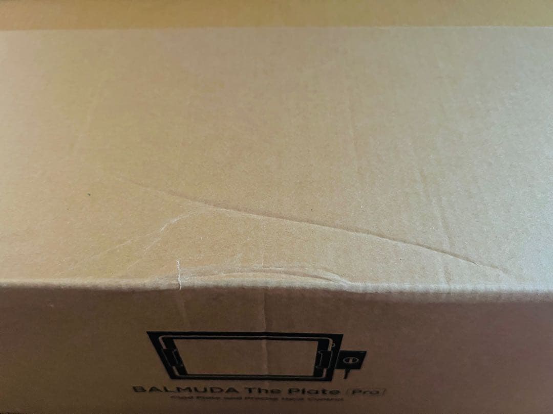 【新品未使用】BALMUDA The Plate Pro K10A