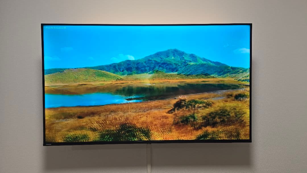 2023年 東芝REGZA 4K TV 55C350X 55インチ