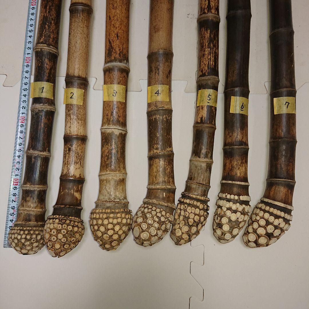 天然【黒竹（根付き）】❗