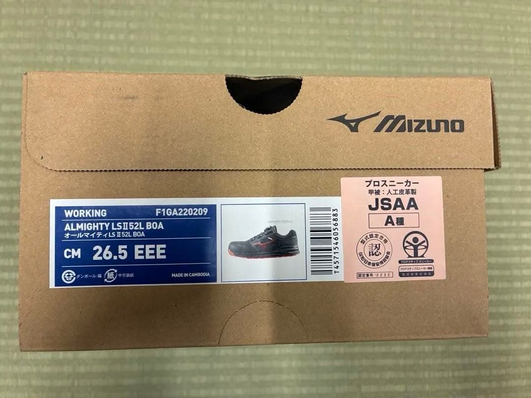 Mizuno BOA 安全靴 ブラック/レッド