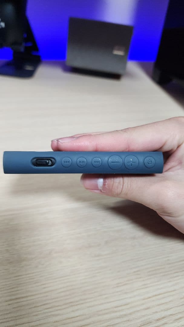 ポータブルプレーヤー Sony Walkman NW-A100 16GB