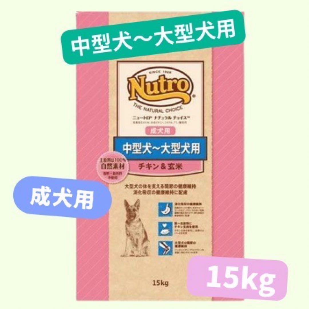 まいまいん