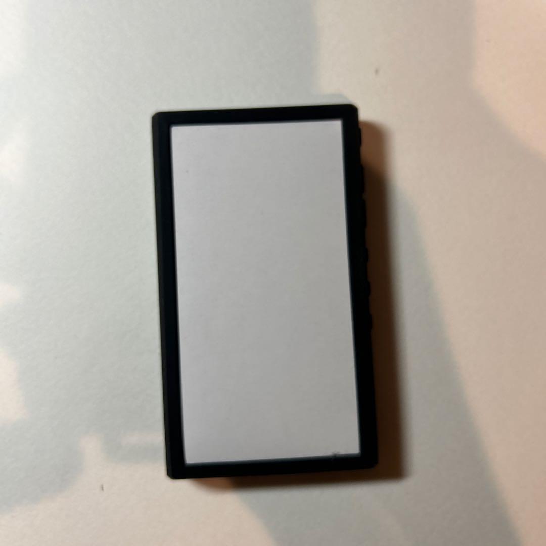 NW-A306 デジタルオーディオプレーヤー ケースsdカード128GB付き