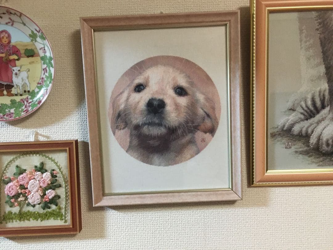 ラブラドールの仔犬　クロスステッチ刺繍完成品　(HAED社　25C) 額付き