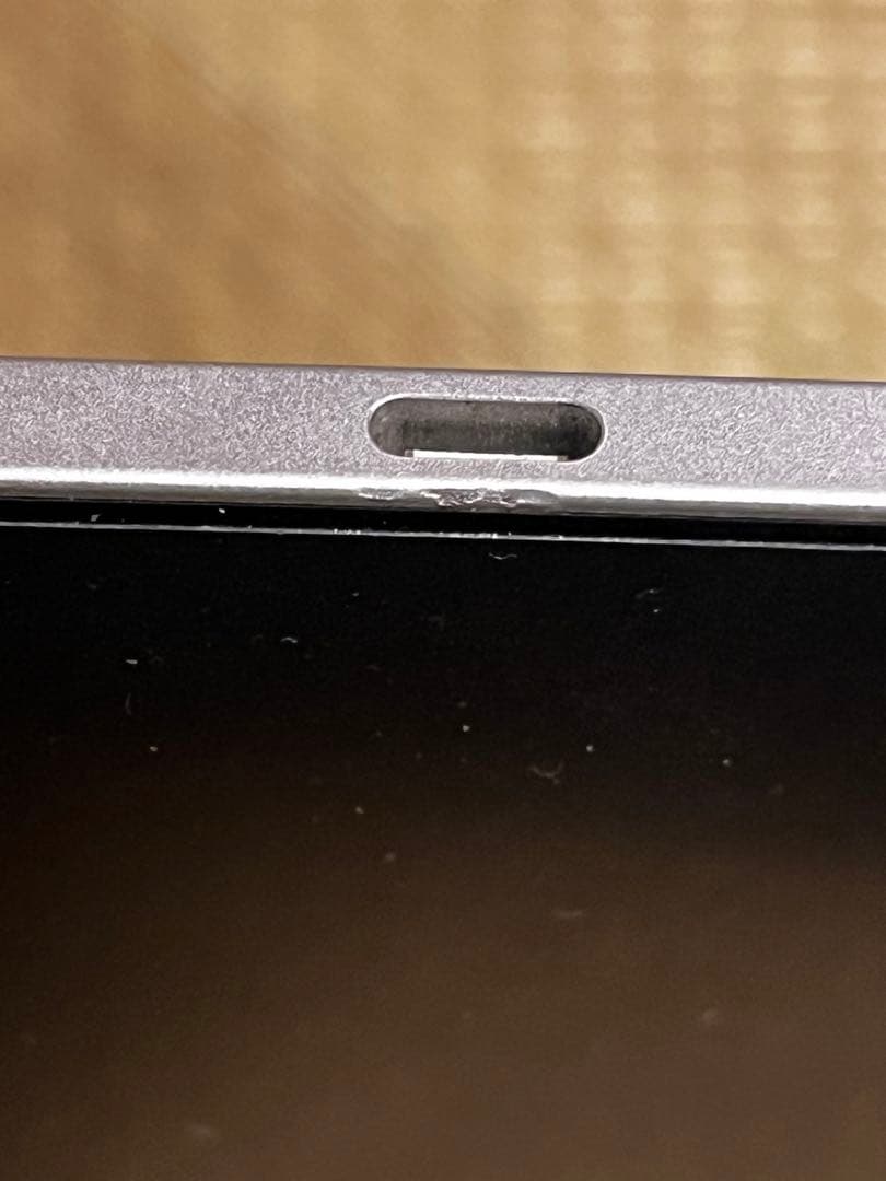 iPad本体 Apple iPad pro