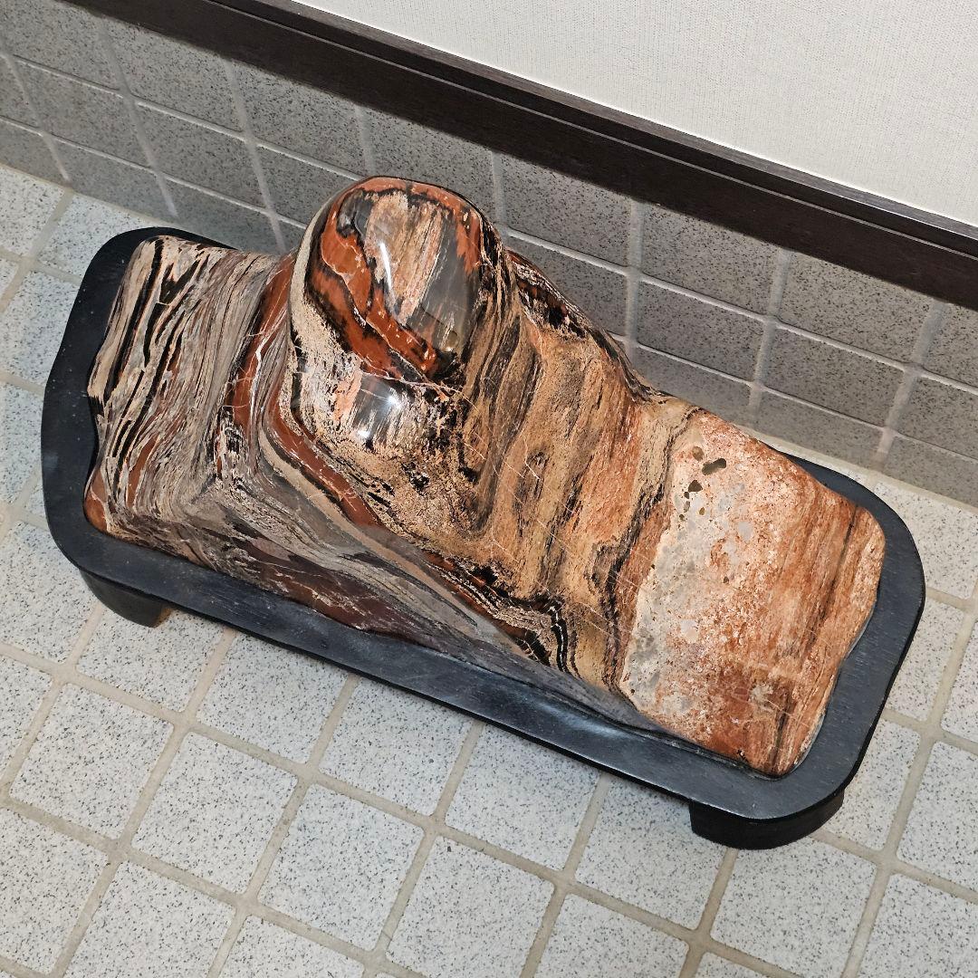 アリゾナ産珪化木51kg 木石　水石　観賞石