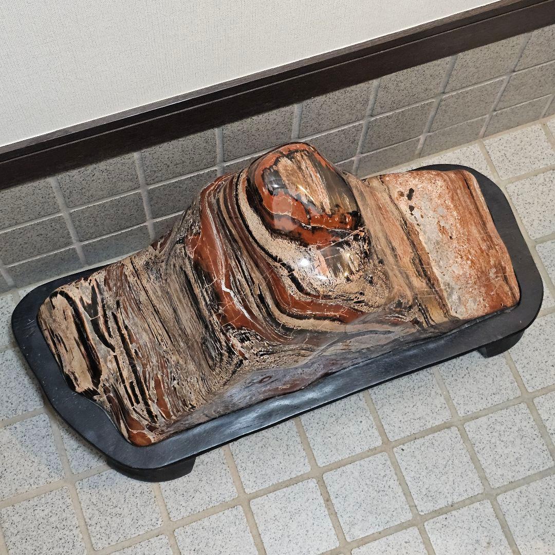 アリゾナ産珪化木51kg 木石　水石　観賞石
