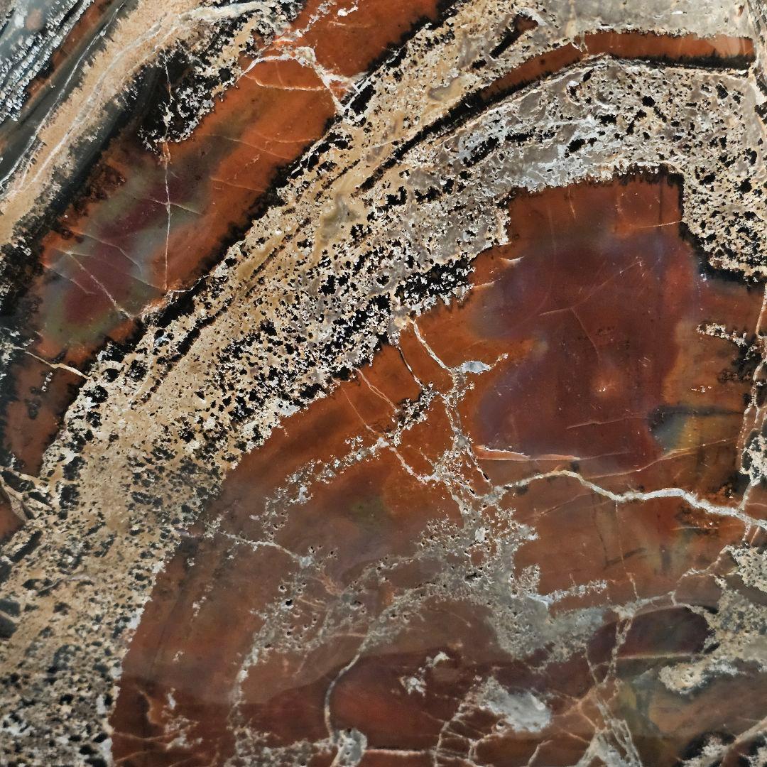 アリゾナ産珪化木51kg 木石　水石　観賞石