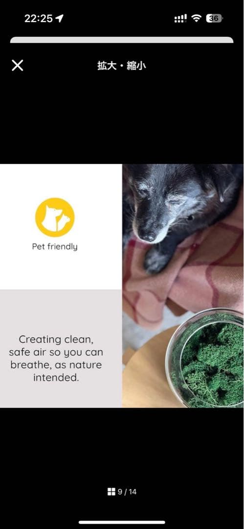 briiv 空気清浄機 英国発 自然派エコ BV0001