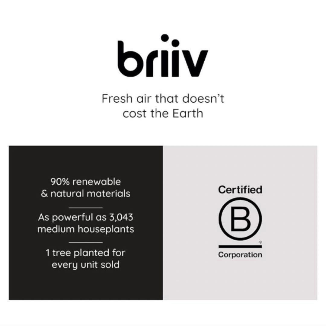 briiv 空気清浄機 英国発 自然派エコ BV0001