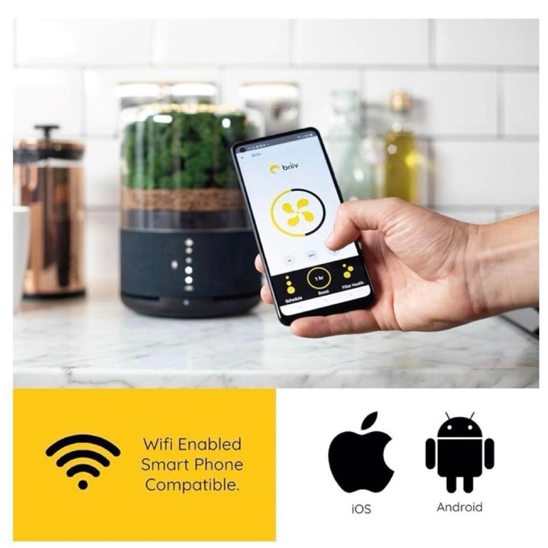 briiv 空気清浄機 英国発 自然派エコ BV0001