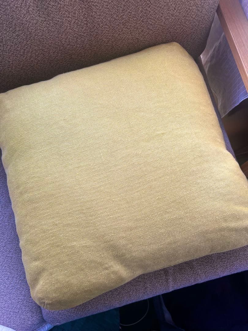 ミナペルホネン　蝶　ちょう　クッションカバー